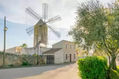 Llubí, Mallorca